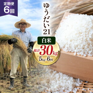 yӂ邳Ɣ[Łz 6   ߘa7NY  䂤21 5kg×6 v30kg [䑫_ R Bs 20745232]  R  ͂ RY