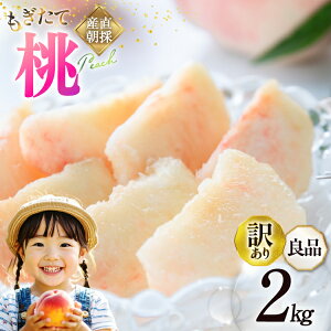 yӂ邳Ɣ[Łz y2026Nz󂠂  R Ǖi ǂ   2.0kg 4`6 ƒp l    t[c ʕ RY Yn Ԍ Gߌ ① _ƒ P 