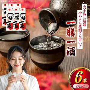 yӂ邳Ɣ[Łz{  V 1.8L pbN 6{ (1223714) [cHi R Bs 20745245] h    ʎ n 1.8 R