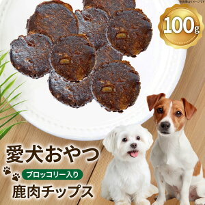 �y�ӂ邳�Ɣ[�Łz�h�b�O�t�[�h ���Y�� FUJIDOG �u���b�R���[���莭���`�b�v�X 100g [FUJIDOG �R���� �B��s 20745302] ���^���p�N �ᎉ�b 10%�ȉ� �ᎉ�� ���̂���� ���̉a ���Y �a �G�T