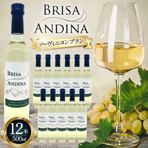 yӂ邳Ɣ[ŁzC  uTEAfB[i \[Bju 500ml 12{ Zbg [JTEsmEWp R Bs 20745345] CZbg R   C AR[ Ԃ