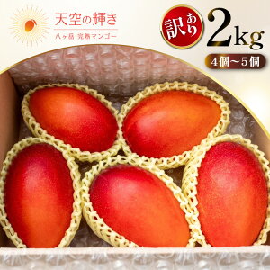 yӂ邳Ɣ[Łz yԌ蔭z 󂠂 x n}S[ ƒp 2kg Zbg [̉ R Bs 20742962] ܂񂲁[ t[c ʕ  R 2L