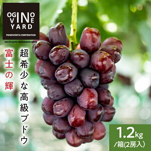 yӂ邳Ɣ[Łz y2026NHns\z RY xm̋P 700g~1.2kg@1~2[ ӂ邳Ɣ[ Ԃǂ  t[c ʕ xm̋P  R AvXs  ALPAK015