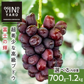 【ふるさと納税】 【2026年秋収穫先行予約】 山梨県産 富士の輝 700g~1.2kg箱　1~2房 ふるさと納税 ぶどう 葡萄 フルーツ 果物 富士の輝 おすすめ 山梨県 南アルプス市 送料無料 ALPAK015