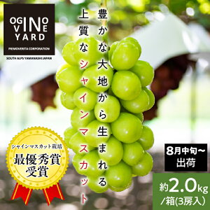 yӂ邳Ɣ[Łz 2026NHns\ RYVC}XJbg Iׂe ӂ邳Ɣ[ VC}XJbg Ԃǂ  ʕ t[c 2[ 3[ 4[  R AvXs 