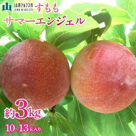 【ふるさと納税】＜2026年発送先行予約＞すもも「サマーエンジェル」10～13玉入り×2箱約3kg ふるさと納税 おすすめ 山梨県 南アルプス市 送料無料 ALPAA015