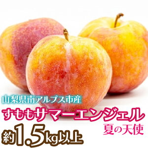 yӂ邳Ɣ[Łz2026Ns\񁄂@T}[GWFuĂ̓Vgv1.5kgȏ ӂ邳Ɣ[  T}[GWF v ʕ t[c  R AvXs 