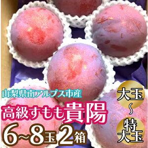 yӂ邳Ɣ[Łz2026Ns\񁄍uMzv@ʁ`6ʁ`8 2 ӂ邳Ɣ[  Mz v  ʕ t[c  R AvXs  ALPCZ013