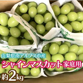 【ふるさと納税】＜2026年発送先行予約＞シャインマスカット (新鮮直送・家庭用2kg) ふるさと納税 シャインマスカット マスカット 葡萄 ご家庭用 果物 フルーツ おすすめ 山梨県 南アルプス市 送料無料 ALPCZ014