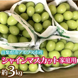 【ふるさと納税】＜2026年発送先行予約＞シャインマスカット (新鮮直送・家庭用3kg) ふるさと納税 シャインマスカット マスカット 葡萄 ご家庭用 果物 フルーツ おすすめ 山梨県 南アルプス市 送料無料 ALPCZ015