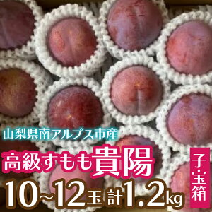 yӂ邳Ɣ[Łz2026Ns\񁄂Mz(q)10`12(v1.2kg) ӂ邳Ɣ[  R AvXs  ALPCZ018