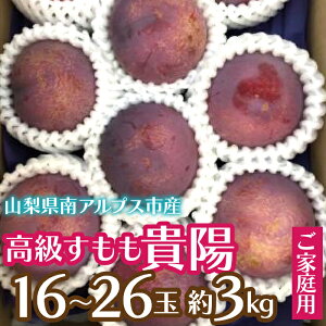 yӂ邳Ɣ[Łz2026Ns\ yƒpzuMzv3.0kgi16`26ʁjӂ邳Ɣ[  R AvXs  ALPCZ017