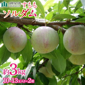 【ふるさと納税】 【2027年(令和9年)発送先行予約】来年発送！！すもも「ソルダム」10～13玉入り×2箱約3kg ふるさと納税 すもも ソルダム 果物 フルーツ 10玉 おすすめ 山梨県 南アルプス市 送料無料 ALPAA002