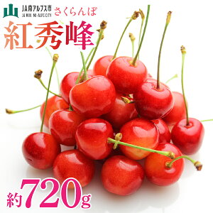 yӂ邳Ɣ[Łz2026Ns\񁄂ځugGv720g ӂ邳Ɣ[   ʕ t[c  R AvXs  ALPAA010