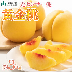【ふるさと納税】＜2026年発送先行予約＞光センサー桃「黄金桃」約3kg ふるさと納税 おすすめ 山梨県 南アルプス市 送料無料 ALPAA017