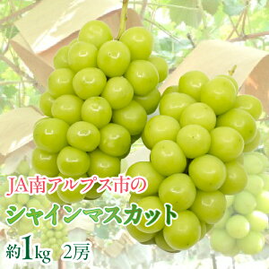 yӂ邳Ɣ[Łz2026Ns\񁄁TBSernuЂ邨сvŎグ܂I iIAvXsYVC}XJbgyIׂTCYz  R AvXs 