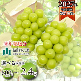 【ふるさと納税】【2027年(令和9年)発送先行予約】来年発送！！★TBSテレビ系列「ひるおび」で取り上げられました！★ 絶品！南アルプス市産シャインマスカット【選べるサイズ】 おすすめ 山梨県 南アルプス市 フルーツ 送料無料
