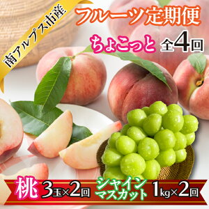 yӂ邳Ɣ[Łzy2026Nxs\zy傱Ɓz t[c4ցi3×2ӂ邳Ɣ[   ʕ t[c  VC}XJbg uhE Ԃǂ R A