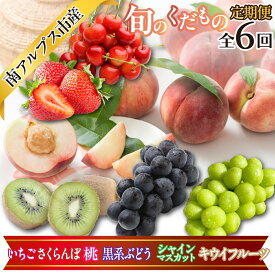 【ふるさと納税】 旬のくだもの定期便＜年6回＞(いちご・さくらんぼ・桃・黒系ぶどう・シャインマスカット・キウイフルーツ) ALPAJ066