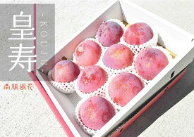 【ふるさと納税】 ＜2026年発送先行予約＞高級スモモ【皇寿】1.8kg 相当　 ふるさと納税 すもも 皇寿 プラム 果物 フルーツ おすすめ 山梨県 南アルプス市 送料無料 ALPAJ017