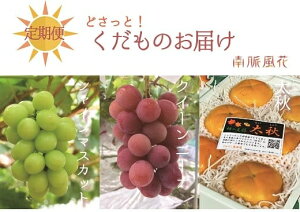 yӂ邳Ɣ[ŁzyʔNtzN3tbVt[cցiNC[j[iAVC}XJbgA`j@ALPAJ015