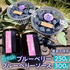 yӂ邳Ɣ[Łz y2025Ns\zAvXsY@y_sgpztbVu[x[250g+t@[ƐtbV\[X2rSET ӂ邳Ɣ[ u[x[ k͔| 嗱 