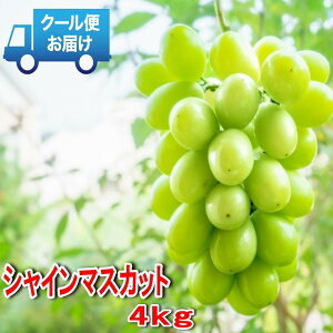 yӂ邳Ɣ[Łz ys\zS̃N[֔ nɎYn VC}XJbg 4kgi6`8[j ӂ邳Ɣ[  R AvXs  ALPDB004