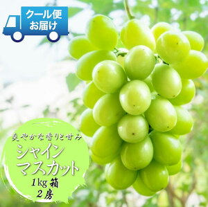 yӂ邳Ɣ[Łz ys\zS̃N[֔ nɎYn VC}XJbg 1kgi2[j ӂ邳Ɣ[  R AvXs  ALPDB001