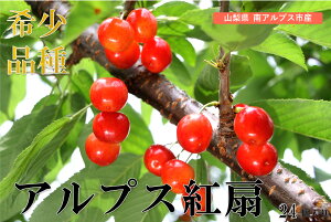 yӂ邳Ɣ[Łz2026Ns\ AvXsY@AvXg@24i2Lȏj ӂ邳Ɣ[  R AvXs  ALPCM001