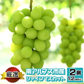 【ふるさと納税】 ＜2026年発送先行予約＞南アルプス市産 シャインマスカット 1.2kg以上　（2房） ふるさと納税 おすすめ 山梨県 南アルプス市 送料無料 ALPEV001