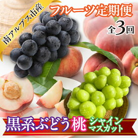 【ふるさと納税】 ★先行予約　おいしいくだもの3回定期便〈くだもの　フルーツ　桃　巨峰　黒系ぶどう　シャインマスカット　新鮮　農家直送　産地直送　人気　山梨県　南アルプス市　〉ふるさと納税 おすすめ 山梨県 南アルプス市 送料無料 ALPAJ056