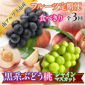 【ふるさと納税】 ★先行予約【食べきり】おいしいくだもの3回定期便〈くだもの　フルーツ　桃　巨峰　黒系ぶどう　シャインマスカット　新鮮　農家直送　産地直送　人気 ふるさと納税 おすすめ 山梨県 南アルプス市 送料無料 ALPAJ057