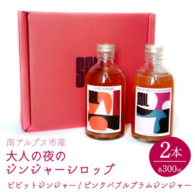 【ふるさと納税】 南アルプス市の大人の夜のジンジャーシロップ2本セット（ビビットジンジャー/ピンクバブルプラムジンジャー） ふるさと納税 おすすめ 山梨県 南アルプス市 送料無料 ALPDR001