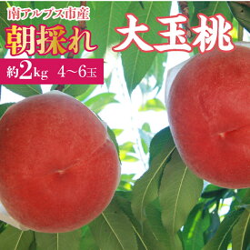 【ふるさと納税】 ＜2026年発送先行予約＞厳選！南アルプス市産　朝採れ大玉桃　約2kg（4〜6玉） ふるさと納税 もも 桃 大玉 果物 フルーツ おすすめ 山梨県 南アルプス市 送料無料 ALPDD004