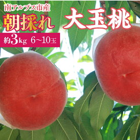 【ふるさと納税】＜2026年発送先行予約＞ 厳選！南アルプス市産　朝採れ大玉桃　約3kg（6～10玉） ふるさと納税 もも 桃 大玉 果物 フルーツ おすすめ 山梨県 南アルプス市 送料無料 ALPDD005
