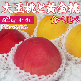【ふるさと納税】＜2026年発送先行予約＞ 南アルプス市産　大玉の桃と黄金桃の食べ比べセット　約2kg（4〜6玉） ふるさと納税 おすすめ 山梨県 南アルプス市 送料無料 ALPDD015