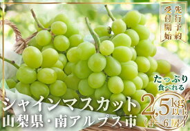 【ふるさと納税】【容量が選べる！】【2026年発送】山梨県産 シャインマスカット ふるさと納税 シャインマスカット マスカット 葡萄 ぶどう 果物 おすすめ 山梨県 南アルプス市 送料無料