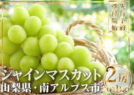 【ふるさと納税】【容量が選べる！】【2026年発送】山梨県産 シャインマスカット ふるさと納税 シャインマスカット マスカット 葡萄 ぶどう 果物 おすすめ 山梨県 南アルプス市 送料無料
