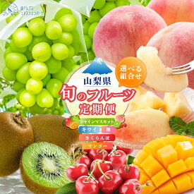 【ふるさと納税】【2027年発送分 定期便2～4回】 南アルプスの果物セット2～4種＜出荷時期：キウイ1月、さくらんぼ5月下～6月下旬、桃：6月中～8月下旬、マンゴー7月中～8月下旬、シャインマスカット：8月中～10月中旬、あんぽ柿：12月＞【先行予約 フルーツ】