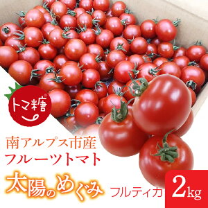 �y�ӂ邳�Ɣ[�Łz �t���[�c�g�}�g�u�g�}�������z�̂߂��݁v�t���e�B�J�y�I�ׂ�e�ʁz0.5�`3kg �ӂ邳�Ɣ[�� �g�}�g ��� �H�ו� �~�j�g�}�g �t���[�c�g�}�g �������� �R���� ��A���v�X�s 