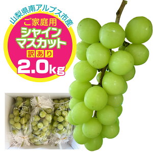 【ふるさと納税】 <2025年度発送>ご家庭用シャインマスカット 約2.0kg 「訳あり」 ALPFN001