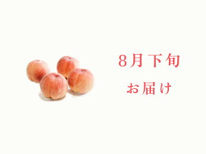 yӂ邳Ɣ[Łz2026Ns\񁄁y8{͂zi킨܂IRY̏{̓ Iׂe 2kg 4kg ALPDS022