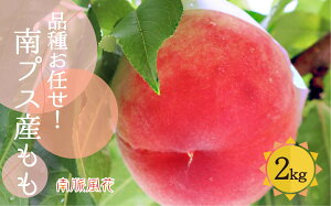 �y�ӂ邳�Ɣ[�Łz ��2026�N��������s�\�񁄓�A���v�X�s�Y�y���z��2.0kg ALPAJ001