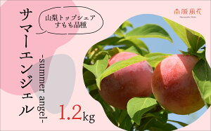 �y�ӂ邳�Ɣ[�Łz ��2026�N��������s�\�񁄔_�ƒ����I�������@�T�}�[�G���W�F����1.2kg ALPAJ006