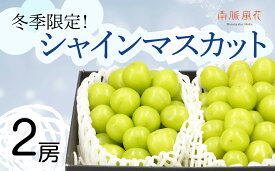 【ふるさと納税】＜2026年発送分先行予約＞冬に食べる　シャインマスカット2房 ALPAJ010