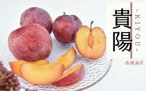 �y�ӂ邳�Ɣ[�Łz ��2026�N������s�\�񁄍����X�����y�M�z�z1.8kg �����@ ALPAJ016