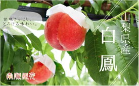 【ふるさと納税】 ＜2026年発送先行予約＞山梨県産白鳳1.8kg相当 ALPAJ019