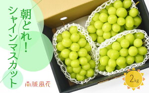 �y�ӂ邳�Ɣ[�Łz��2026�N������s�\�񁄒��̂�I�V���C���}�X�J�b�g2kg�@ ALPAJ023