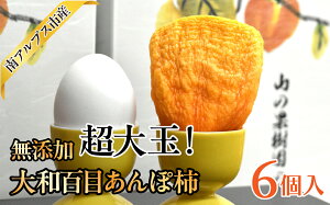 yӂ邳Ɣ[Łz2026Ns\񁄁yYzʁI@aSڂۊ`6 ALPAJ051