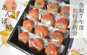 yӂ邳Ɣ[Łz2026Ns\񁄁yYzaSڂۊ`12 ALPAJ027